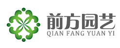 开封前方园艺菊花种植基地
