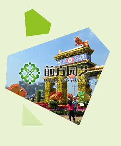开封前方园艺菊花种植基地[公司介绍]
