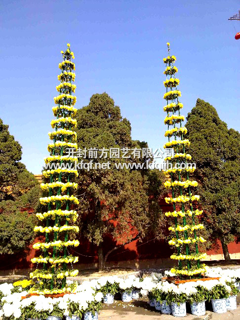 菊花造型之塔菊