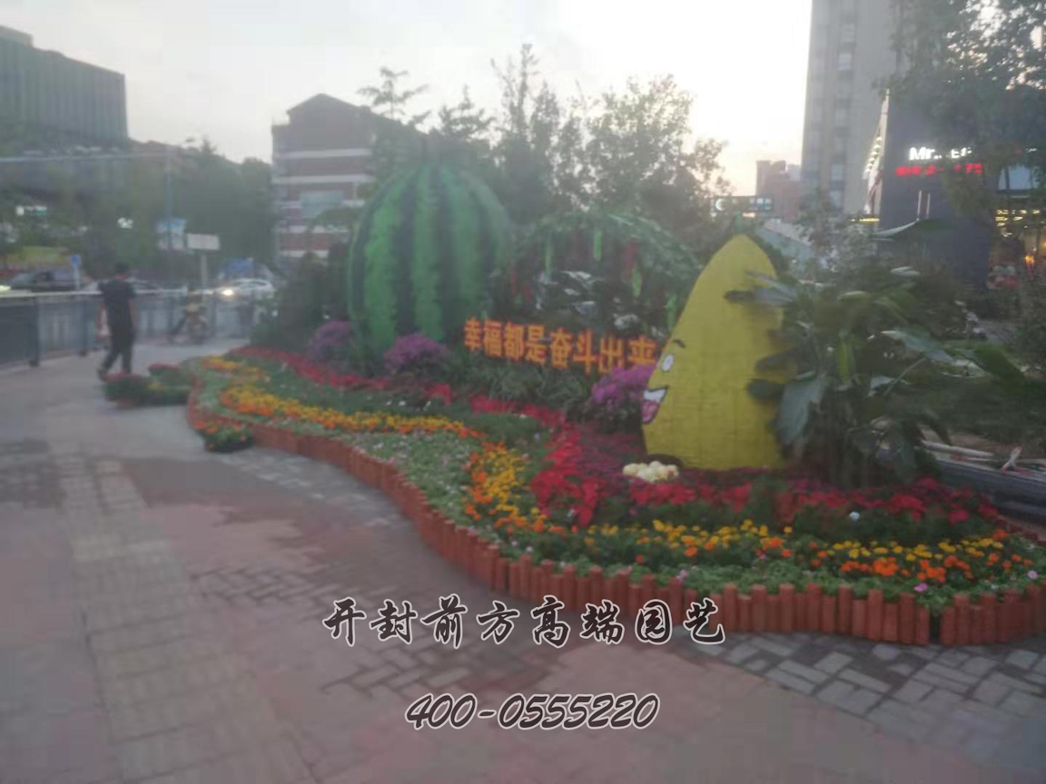 北京大兴区菊花造型修饰