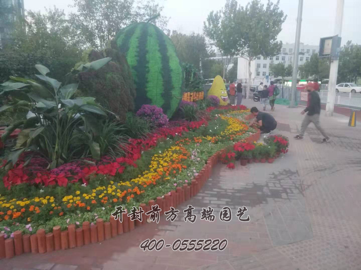 北京大兴区菊花造型修饰