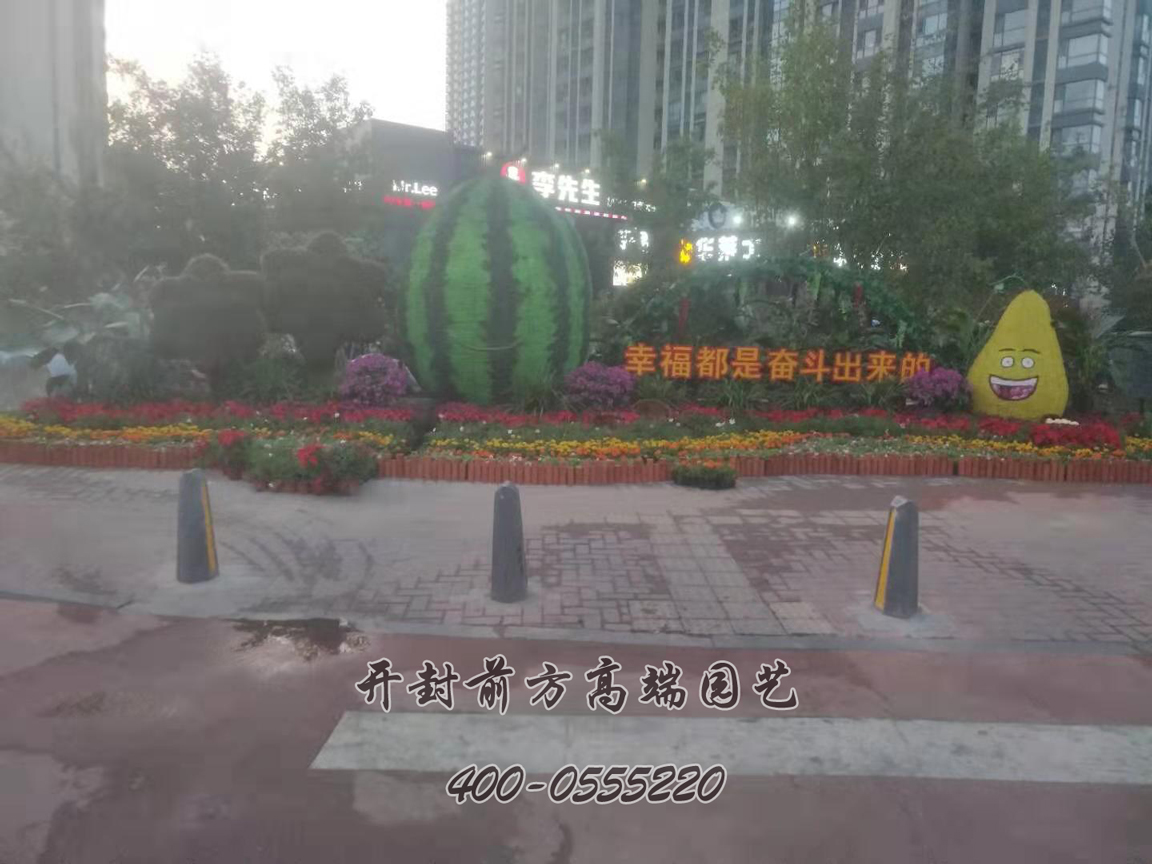 北京大兴区菊花造型修饰