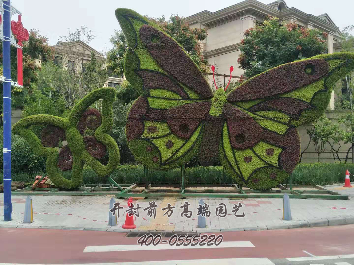 北京大兴区菊花造型修饰