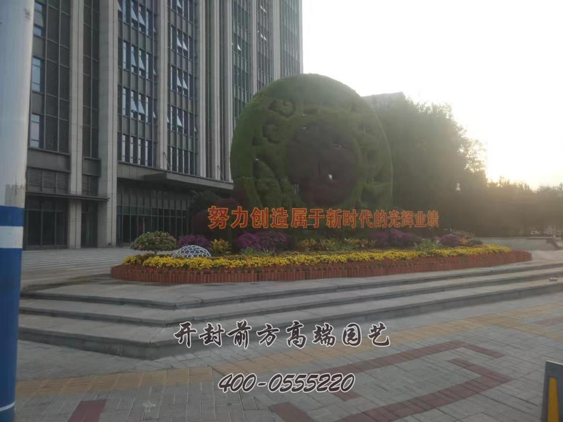 北京大兴区菊花造型修饰