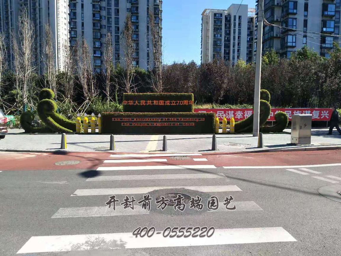北京大兴区菊花造型修饰